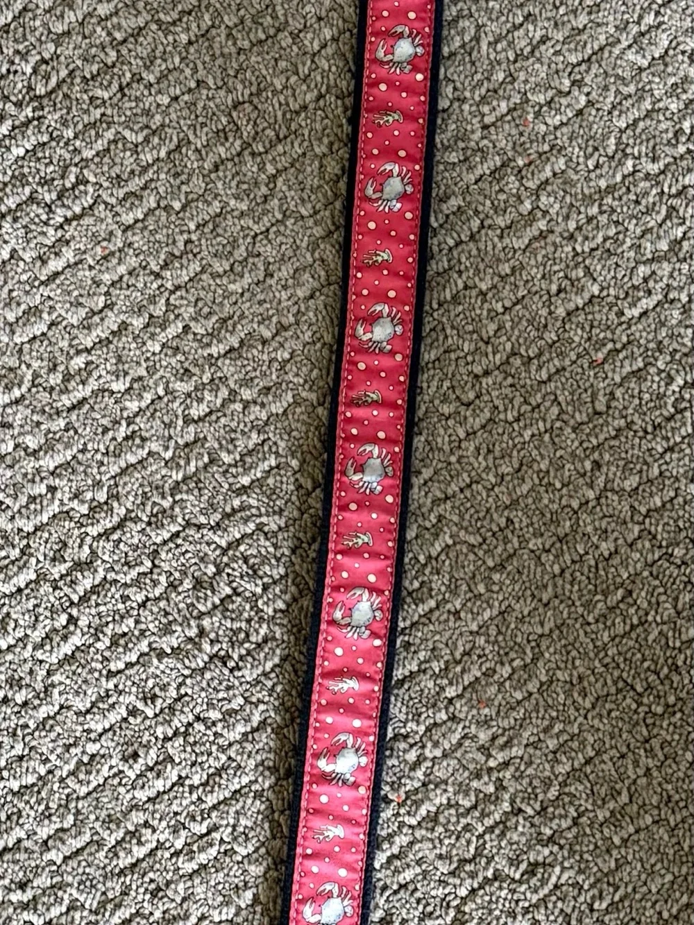 Vineyard Vines Kids Pink Crab & Polka Dot Belt with Brown Trim